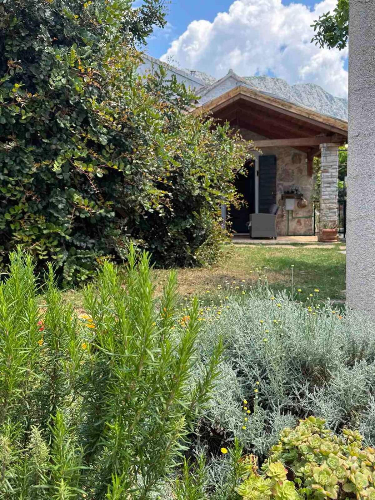 Villa House Dobrila Igrane Exterior foto